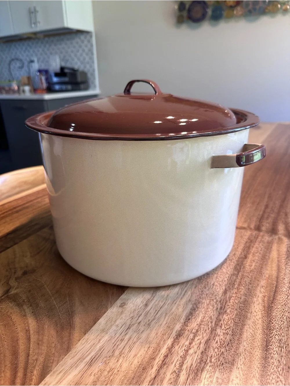 Vintage Enamelware Stockpot With Lid Cream Almond Beige Brown Trim Farmhouse
